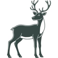 Reindeer Christmas Sleigh Santa Festive