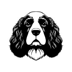 Spaniel Cocker Springer Dog Puppy Pet Head