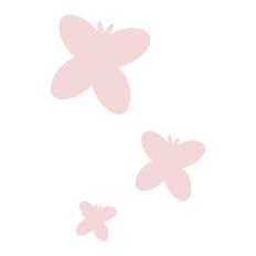 Butterfly Butterflies Spring Summer Insect