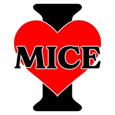 I Love Mice