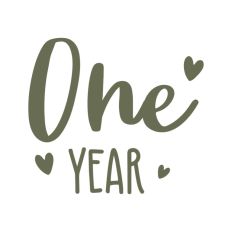 One Year Baby Milestones First Year Newborn
