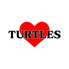 Love Turtles