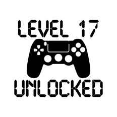 Level 17 Unlocked, Birthday Gamer