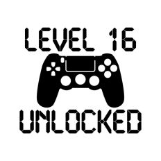 Level 16 Unlocked, Birthday Gamer