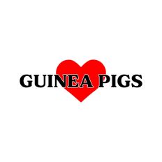 Love Guinea Pigs
