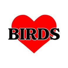 Love Birds