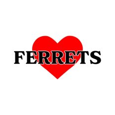 Love Ferrets