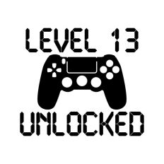 Level 13 Unlocked, Birthday Gamer