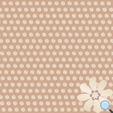 Beige Daisies
