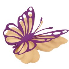 Butterfly in flight