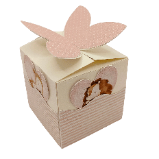 Butterfly Box 