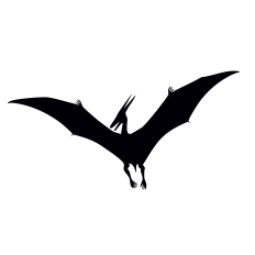 Pterodactyl Pterosaur