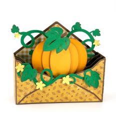 Pumpkin Envelope Box Card