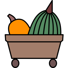 Squash