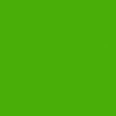 Pumpkin coffee green background paper