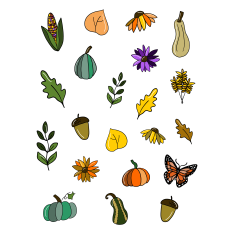 Pumpkin & Gourd - Autumn Sticker Sheet