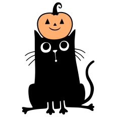 pumpkin hat cat