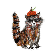 Pumpkin Raccoon