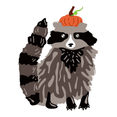 Pumpkin Raccoon