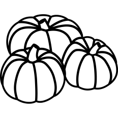 Pumpkins Patch Outline
