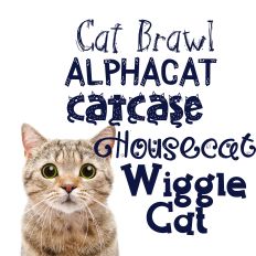 Purr-fect Cat Font Bundle