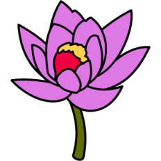 Lotus Flower