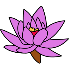 Lotus Flower