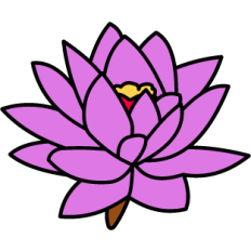 Lotus Flower