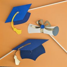 Diploma