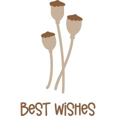 Poppy Pods - Best Wishes