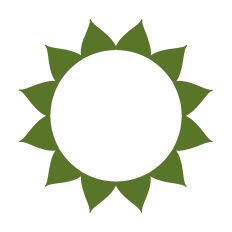 Broad Leaf Wreath