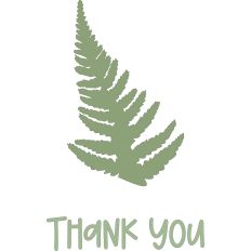 Fern – Thank You