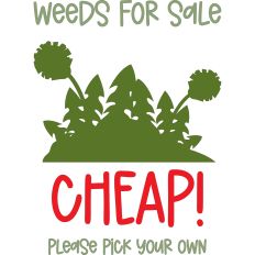 Dandelions – Weeds for Sale