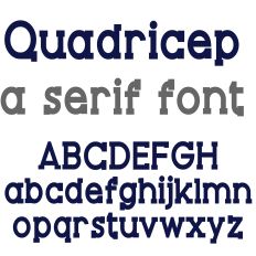 PN Quadricep Bold