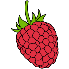 Raspberry