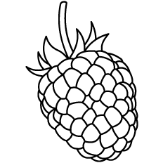 Raspberry Outline