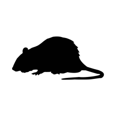 Mouse Halloween Christmas