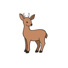 Reindeer