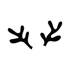 Holiday Reindeer Horns / Antlers
