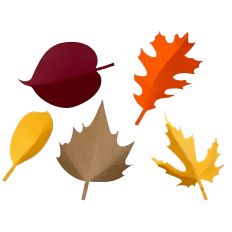 3D Paper Leaves, Fall Floral