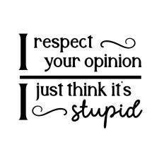I Respect Your Opinion