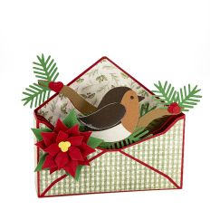 Robin Envelope Box Card