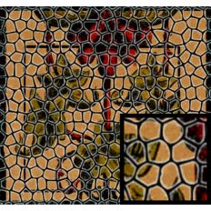 Roman Mosaic I