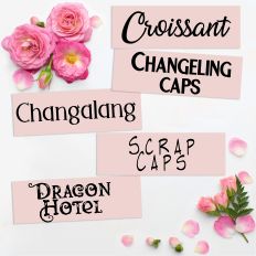 Romance Family Font Bundle