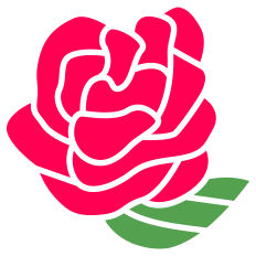 Rose Silhouette