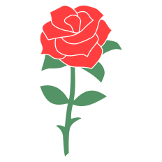 Rose Flower