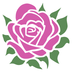 Pink Rose