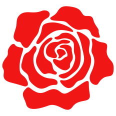 Red Rose