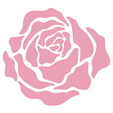 Pink Rose Flower