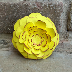 Rose Blossom 3D Flower